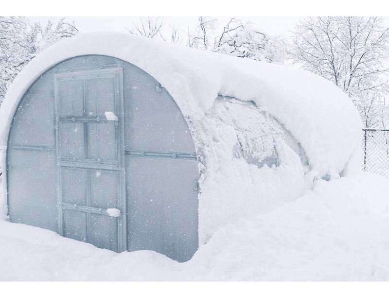 LA SERRE PROTÈGE-T-ELLE DU GEL ? - MaSerreVerte